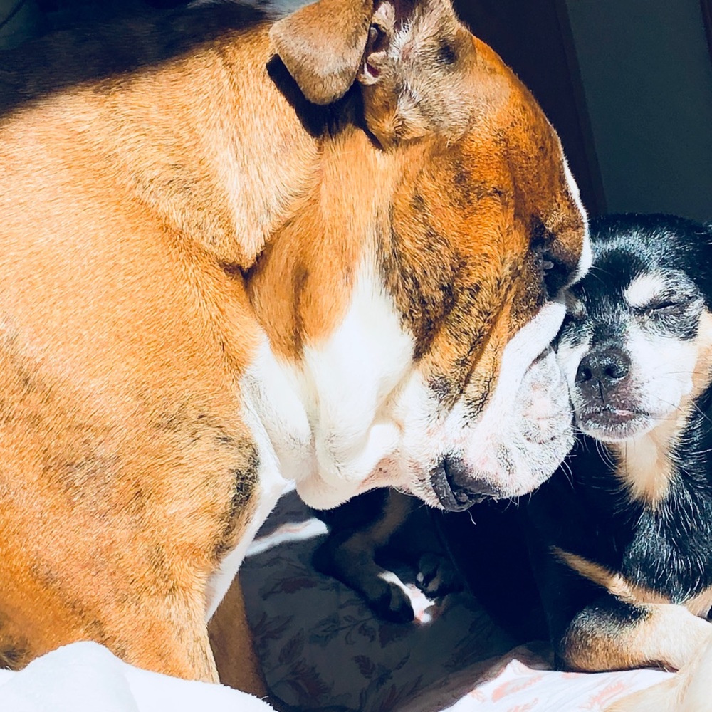 Meet your Posher, Mia - Picture 9 of 16